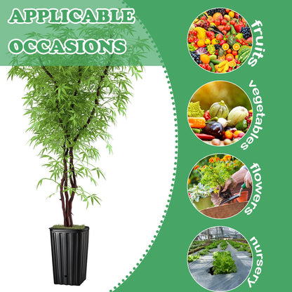 Dandat 100 Pcs Tall Tree Pots, Plastic Deep Plant Nursery Pots, Tall Seedling Flower Plant Container Starting Pots with Drainage Holes for Indoor Outdoor Gardening (5 Size 7.6"+9.8"+11"+11.4"+12.2"H)