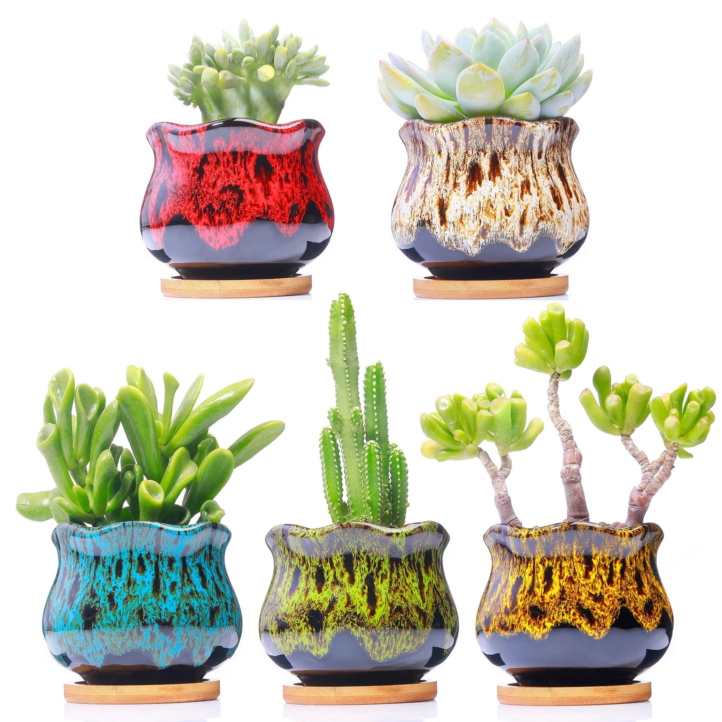 LamDawn Cute Ceramic Succulent Garden Pots, Planter with Drainage and Attached Saucer, Set of 5 -Plants Not Included (Fambe)