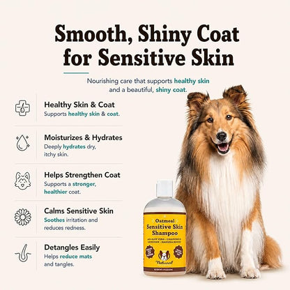 Natural Dog Company Sensitive Skin Dog Shampoo – Hypoallergenic Oatmeal Anti Itch Shampoo for Dogs, Gentle Puppy & Dog Wash with Aloe Vera, Manuka Honey & Chamomile, Odor Control, 12 oz