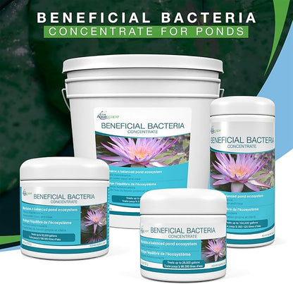 Aquascape 98950 Beneficial Bacteria Water Treatment Dry - 3.2 kg/7 lbs for Pond Water Feature Waterfall | Provides Clean, Clear and Healthy Water Conditions and Reduces Pond Maintenance