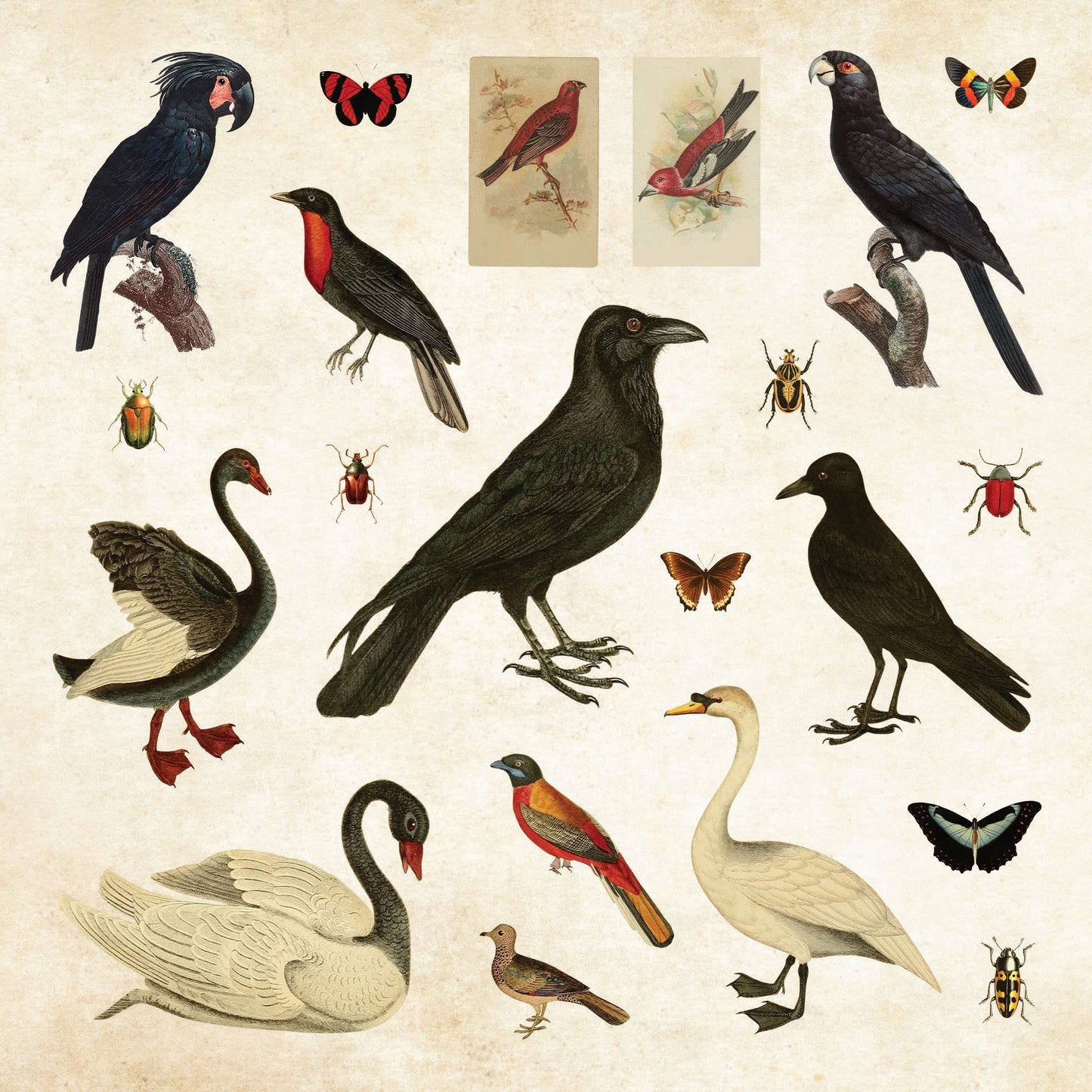 Mystical Ephemera! An Enchanting Vintage Sticker Book (over 900 stickers)
