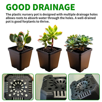 XCRUI Square Nursery Pots 60Pcs 3" Deep Succulent Plastic Pots Small Flower Planter Seeds Starter Germination Pots for Plants, Succulent, Flower
