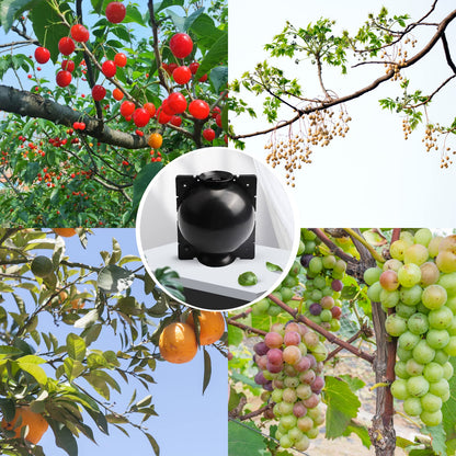 Lazzineer Tree Root Growing Box, Reusable Transparent Plants Asexual Reproduction Grafting Ball, High Pressure Air Layering Pods Propagation Kit (20pcs Small)