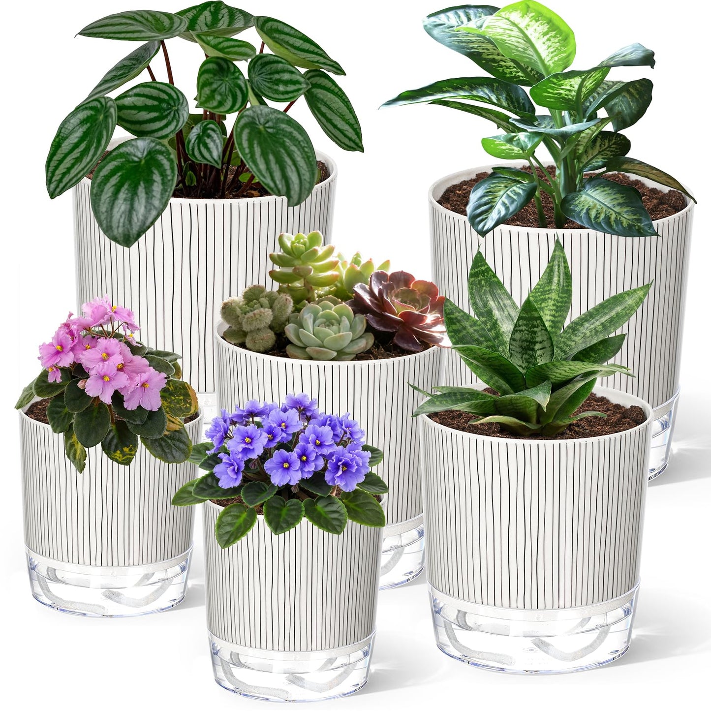 Samhe 6 Pack Self Watering Pots for Indoor Plants, 4+5.5+6.3 Inch Self Watering Plant Pots Set, Flower Pots with Wick Rope and Reservoir for African Violet, Spider Plant, Orchid