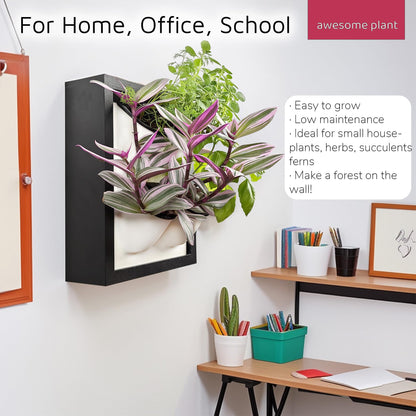 Awesome Plant Wall Garden 4 Vertical Wall Planter, 4 Pots Wood Frame Self Watering Living Planter for Home Office Decor, Wall-Mounted Planter for Indoor Houseplants (Black)