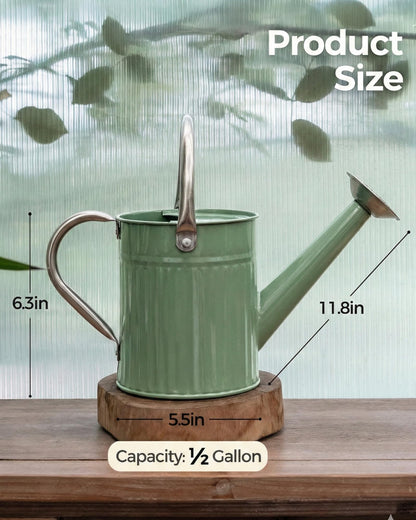 Bamworld Watering Can for Indoor Outdoor Plant Metal Watering Can with Removable Spout Embossd Design Plant Watering Devices Stainless Steel 1/2 Gallon Watering Cans Home & Garden Décor Creamy Green