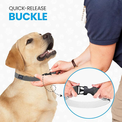 Hypoallergenic Dog Collar - Great for Sensitive Skin, Soft Collar for Dogs, Soft Organic & Earth Friendly (Large, Grey)