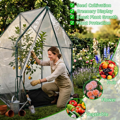 GreenGiggle Portable Greenhouse for Outsides, 36x36x59 Inch Green House Tent with PVC Cover, Garden Plant Protector with Zippered Door for Vegetables Flowers Fruits Herbs