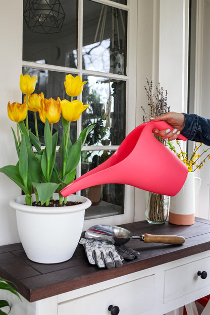 The HC Companies 1/2 Gallon Essential Watering Can for Indoor Outdoor Plants, Apricot (Pack of 2)