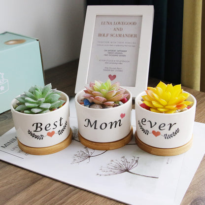 Segreto Creative Plants Pots White Ceramic Vase Planter for Flower Sedum Succulent Plants Desk Garden Room Pot Decor,Pack of 3,Gift Boxed for Mom Friends