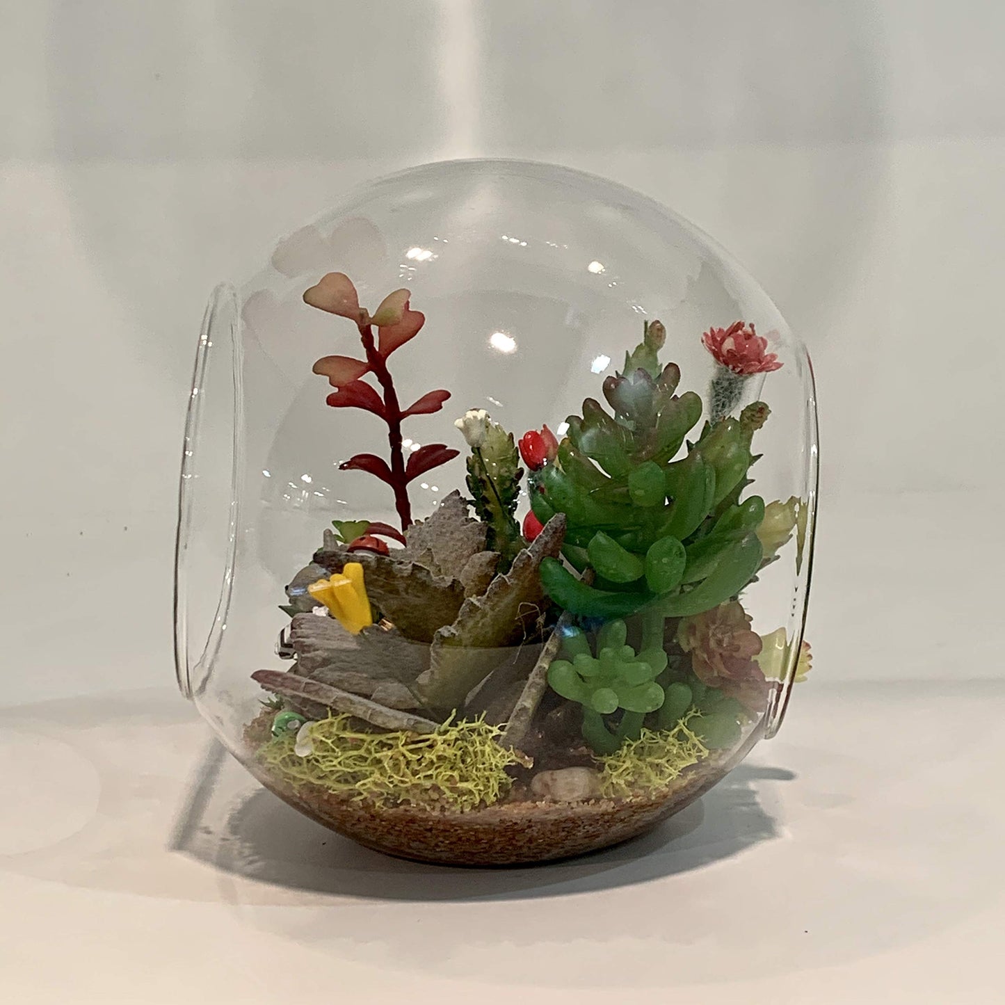 WGV Planter Terrarium, Width 8" Height 8", Clear Round Glass Vase Container with Two Side Opening, DIY Air Planter, Votive Candle Holder for Decor, 1 Piece