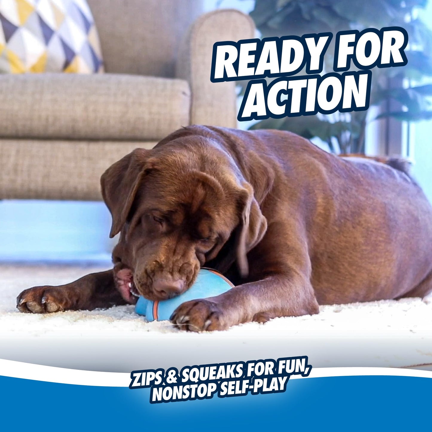 Chuckit! Indoor Super Slider Self-Fetch Squeaky Toy for Dogs - Glides Harmlessly On Most Surfaces - Fun Dog Toys to Keep Them Busy - For Small, Medium, and Large Breeds - Durable Rubber