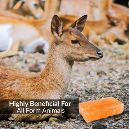 Himalayan Nature 100% Natural Himalayan Rock Deer Salt Licking Block - Animal Licking Mineral Salt Block, Natural Feed Salts Bricks For Deer and Livestock Animals - 5 Lbs, 2x4x8 inch, Pack of 1