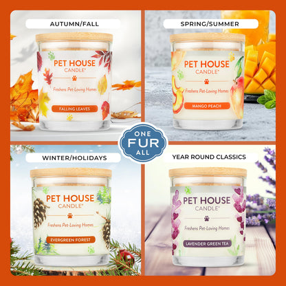 One Fur All Pet House Fall Candles, Long Lasting, Clean Burning, Soy Wax Scented Candles for Pet Odor, Apple Cider
