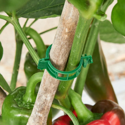 CIQIYO® 100 Pcs Plant Support Clips,Plastic Clips for Securing Plants,Tomato Vine Clips,Plant Fixing Clips,Garden Clips for Climbing Plants,Grape and Vine Vegetables (100, Green)
