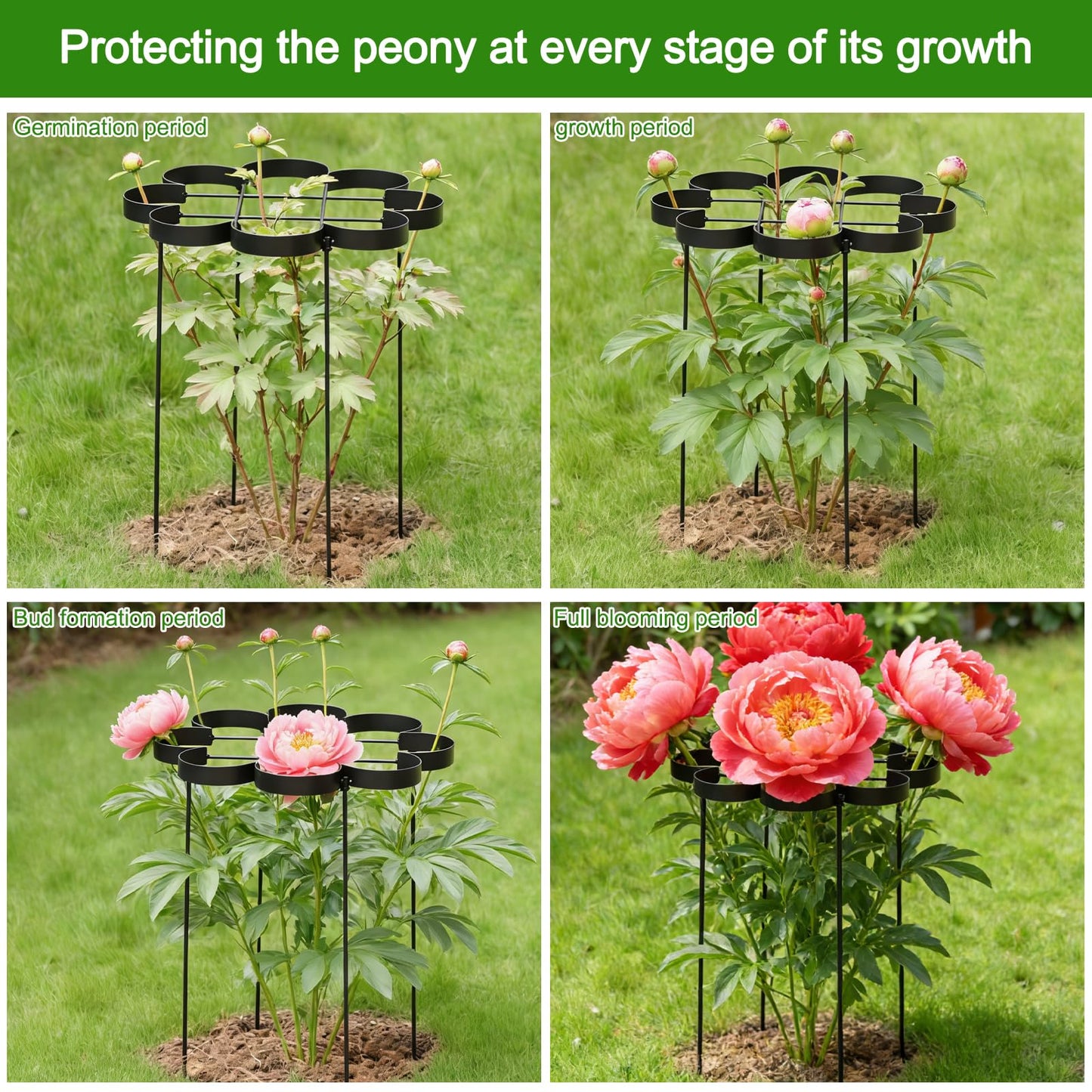 GOOOXIM 25" Peony Cages and Supports - Elegant Black Modern Flower Support Stakes for Peonies & Dahlias - Designed for Stability & Growth - Perfect for Gardens & Patios