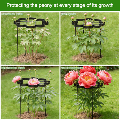 GOOOXIM 25" Peony Cages and Supports - Elegant Black Modern Flower Support Stakes for Peonies & Dahlias - Designed for Stability & Growth - Perfect for Gardens & Patios