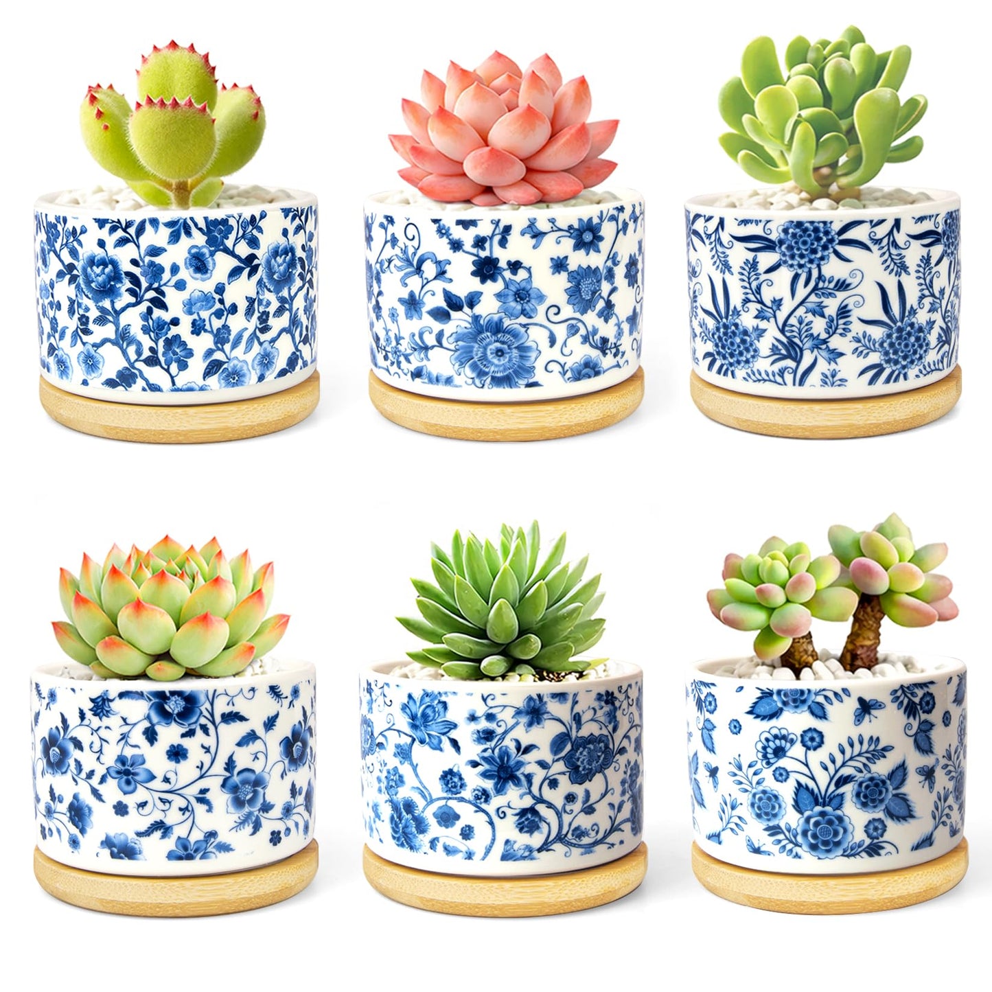 celamos Succulent Pots 6 Pack, Small Flower Pots with Drainage Bamboo Tray, Succulent Pots for Indoor Plants, Cactus Pots and Planters, Decorative Small Pots for Home Office