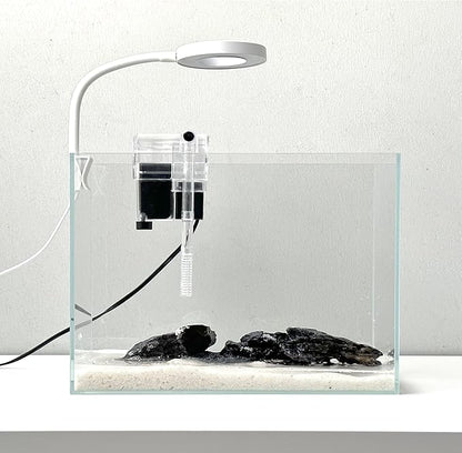 Nano Aquarium Kit 2.2 Gallon, Rimless Glass Betta Fish Tank with Filter & LED Light, 12" x 6" x 8" Small Desktop Fish Tank for Home Office (Transparent, Complete)
