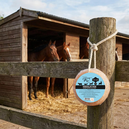 The Original Salt Company 100% Organic Himalayan Salt Lick Provides Essential Minerals for Your Horse/Livestock. This 4.4 lbs Natural Pink Salt Block on a Rope Supports Hydration/Digestion/Wellness.