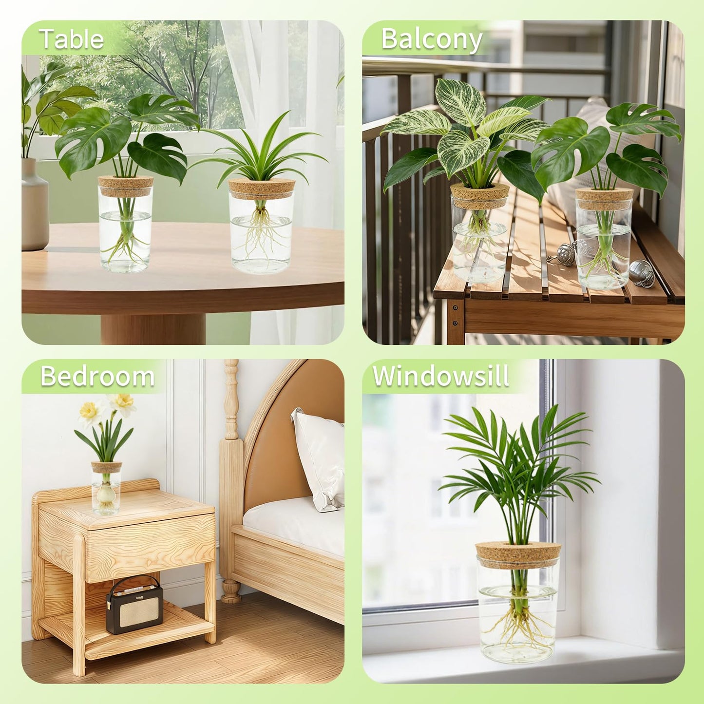 Glass Propagation Station for Plants Set of 4,Desktop Vases for Herb,Plant Cuttings,Planter Jars for Home,Propagation Flower Vases for Living Room,Bedroom,Home Office Decoration,Plant Lover Present