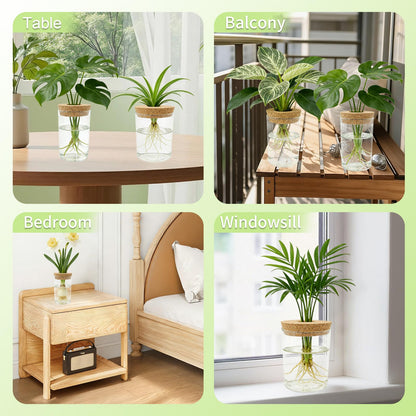 Glass Propagation Station for Plants Set of 4,Desktop Vases for Herb,Plant Cuttings,Planter Jars for Home,Propagation Flower Vases for Living Room,Bedroom,Home Office Decoration,Plant Lover Present