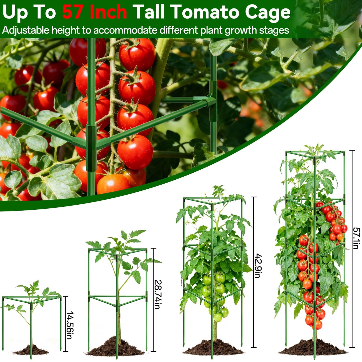 Halatool 57 Inch Tall Tomato Cages, 2 Pack Heavy Duty Metal Plant Supports Stakes for Garden, Adjustable Foldable Steel Trellis for Climbing Plants Cucumbers Peppers Cherry Flowers Vegetables Fruits
