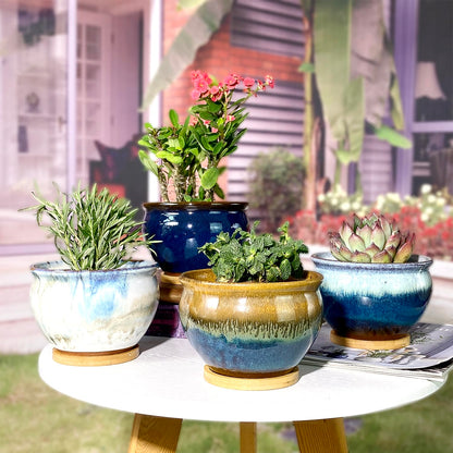 Summer Impressions 5.5 Inch Succulent Pot with Drainage and Saucer Glazed Terracotta Round Ceramic Succulent Planter Cactus Bonsai Plant Pot (Set of 4)