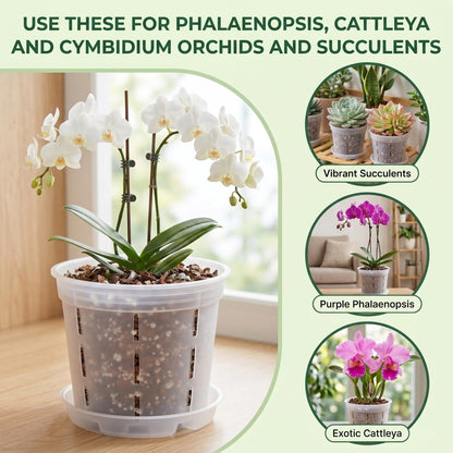 12 Packs Plastic Orchid Pots with Holes, 4, 5, 6 Inch Clear Orchid Pots for Repotting with Saucers Drainage,Hook,Hanging Rope and 6.7/10.6 inch Plant Stakes, Breathable Orchids Planter Plant Pot