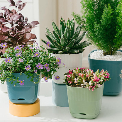 Gidary White Plastic Plant Pots, 6/4.7 Inch 2 Pack, Modern Planters with Drainage Holes and Trays for Indoor Plants, Succulents, Orchids, Herbs