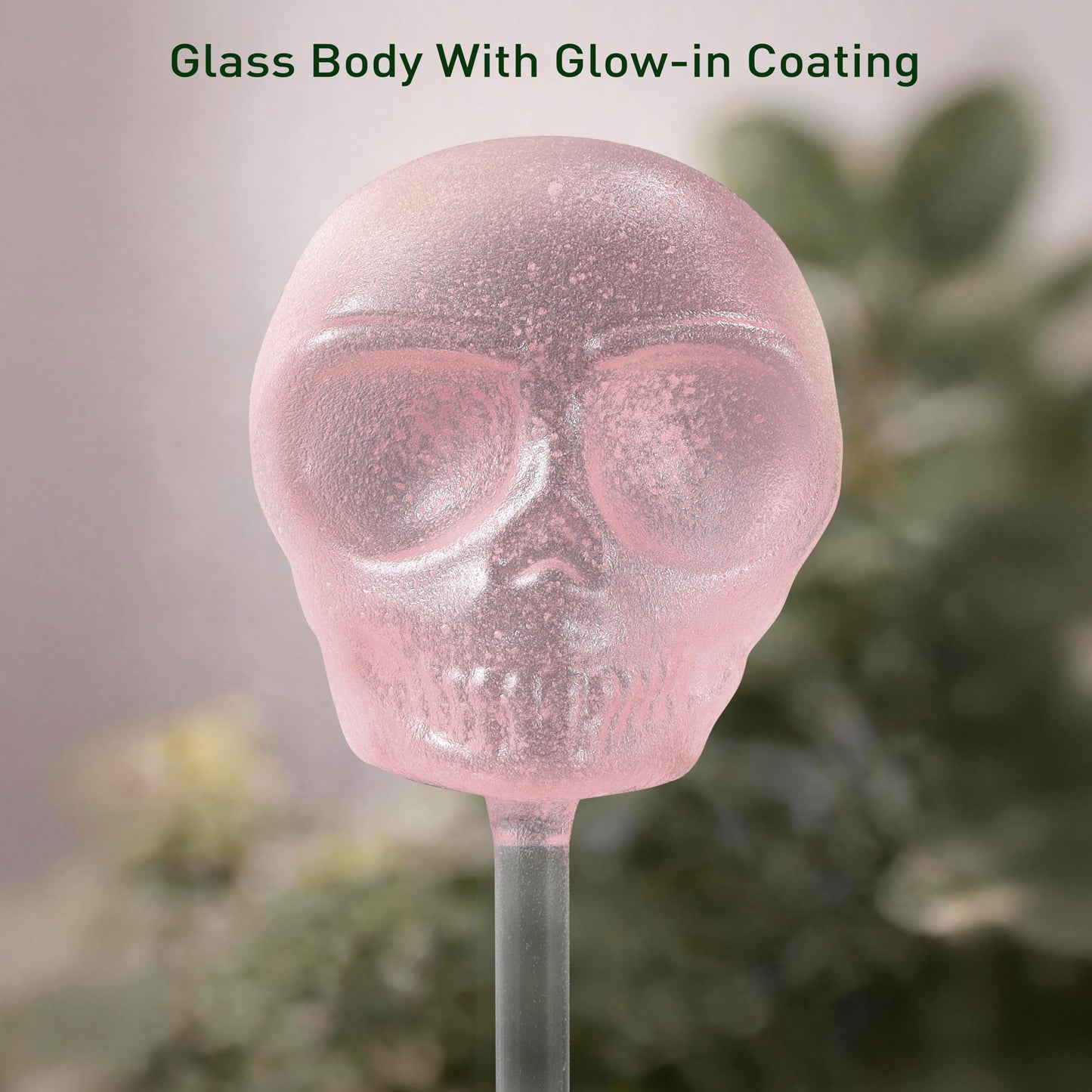 Soilagua 10 oz Glow-in-The-Dark Smiling Cute Skull Glass Plant Watering Globes, Halloween Goth Water Bulbs, Gothic Plant Self Watering Devices, Self Watering Planter Insert Plant Waterer, 2 Pack