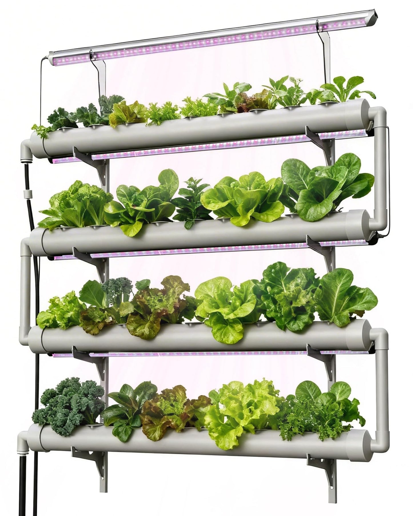 NFT Hydroponics Growing System，36 Pods Wall-Mounted Indoor Garden，Full Spectrum Grow Lights and Powerful Water Recycling System，Opaque PVC-U Hydroponic Pipes，Suitable for Leafy Greens