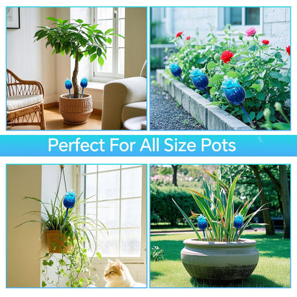 YEH-HOME Large Plant Watering Globes Set of 3-10 oz Indoor/Outdoor Large Self Watering Globes Planter Insert, for Mother/Father/Friend/Plant Enthusiasts (Blue Rose)