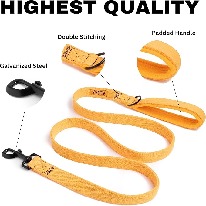 Pawsitive Hemp Leash - 5ft Long, with a Padded Handle for Extra Comfort. Made from Durable, Machine Washable Hemp; Natural