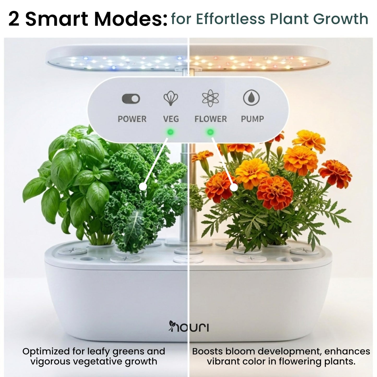 Nouri Hydroponics Growing System, 12 pod Smart Indoor Herb Garden Kit with LED Grow Lights, Hydroponic Herb Garden Indoor for Plant Lovers, Gardeners, Kitchen, Basil Seeds Included