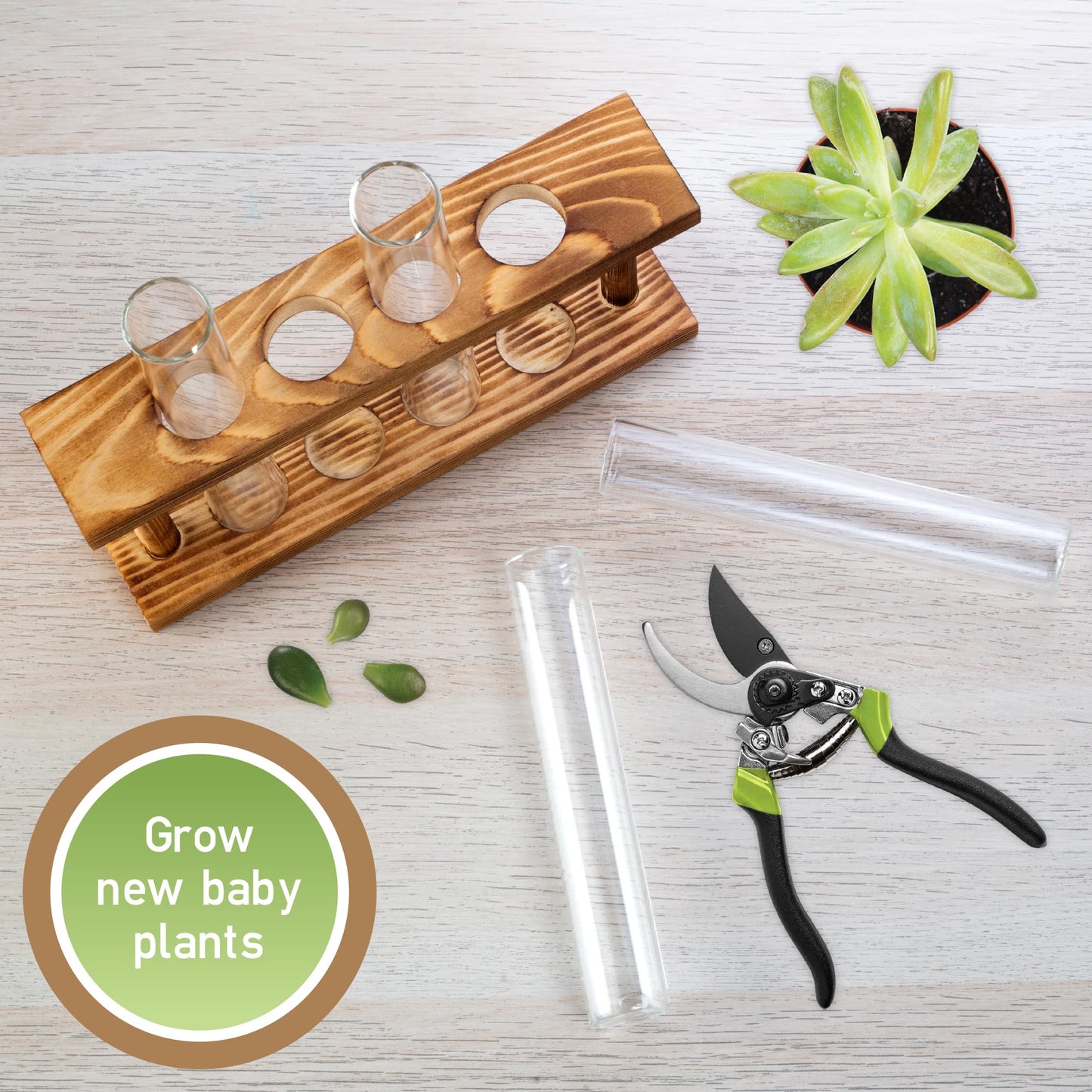 D'Eco Glass Plant Propagation Station (Set of 4 Tubes w Wooden Display) - Grow Hydroponics & Watch Them Grow Roots - Tabletop Vases for Spring Home & Office Decor for Plant Lovers