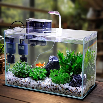 Vimvins 5 Gallon Glass Small Fish Tank with Filter Light and Lid, Betta Aquarium Starter Kits