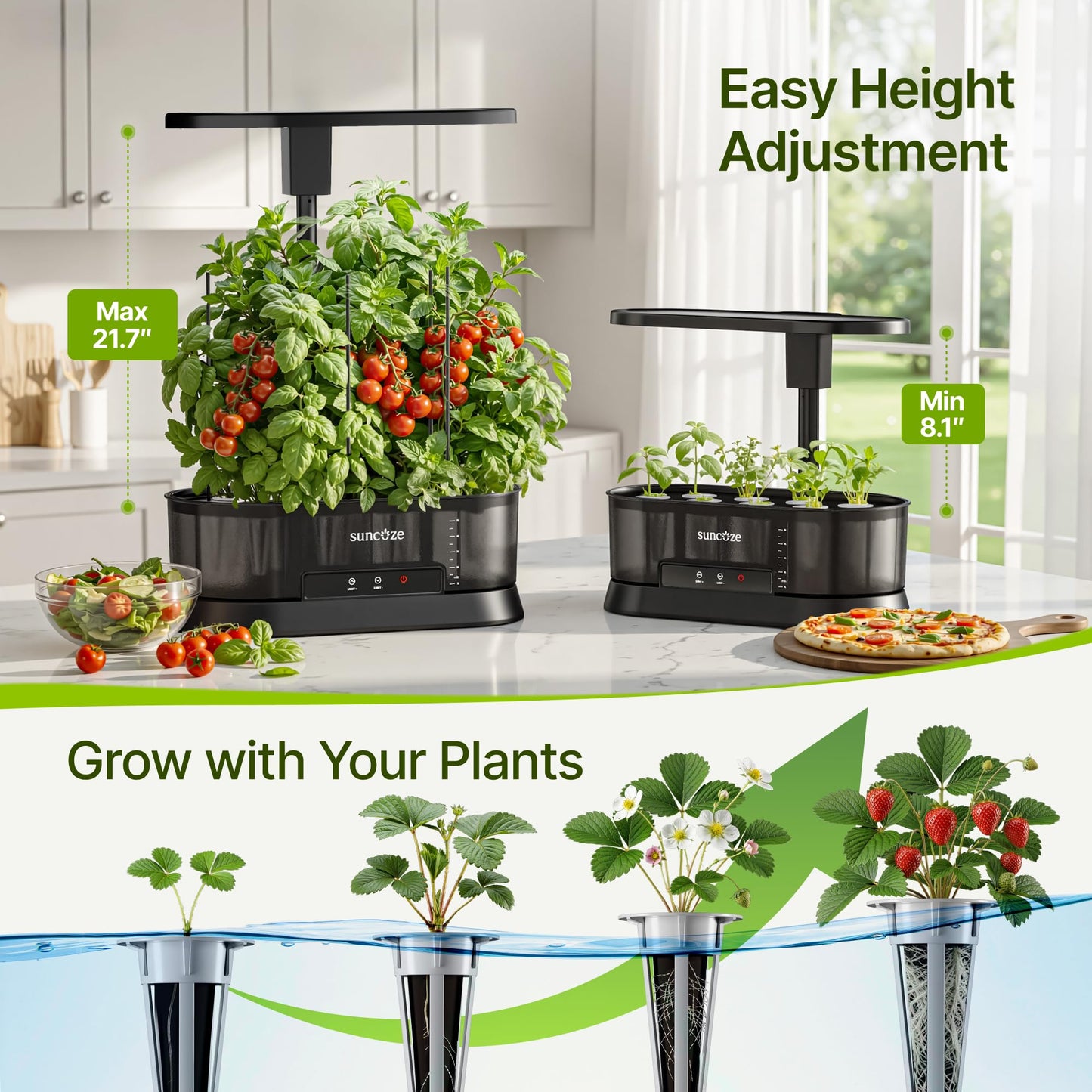 SUNCOZE Hydroponics Growing System with Removable Tank, 36W Dimmable Full Spectrum LED Grow Light, 12 Pods Indoor Herb Garden with 5L Split Water Tank, 21.6" Height Adjustable Hydroponic Garden