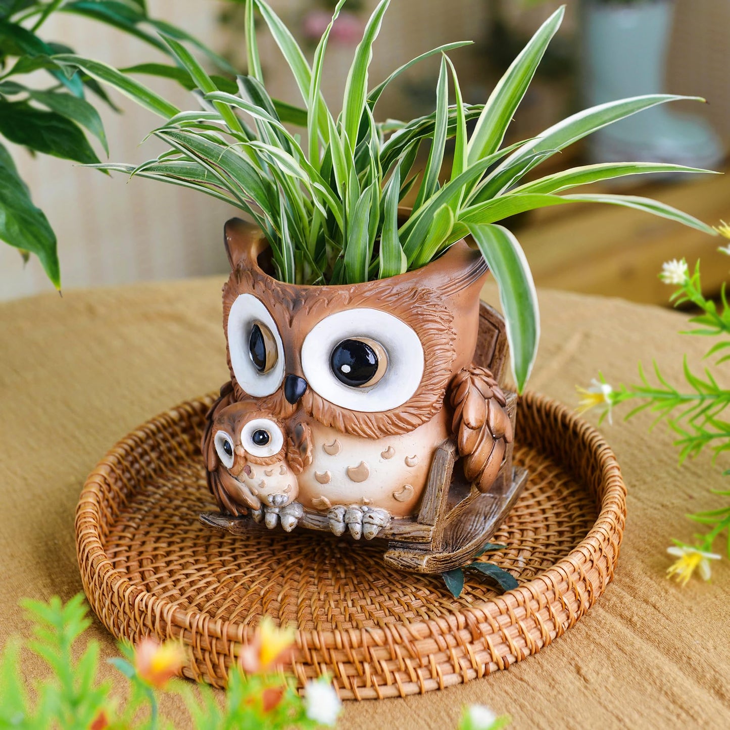 Saysmile Unique Owl Plant Pots Indoor, Cute Small Succulent Pots with Drainage Hole, Rocking Chair Planters for Outdoor Indoor Plants, Resin Flower Pot for String of Pearls, Gift Ideas for Mother