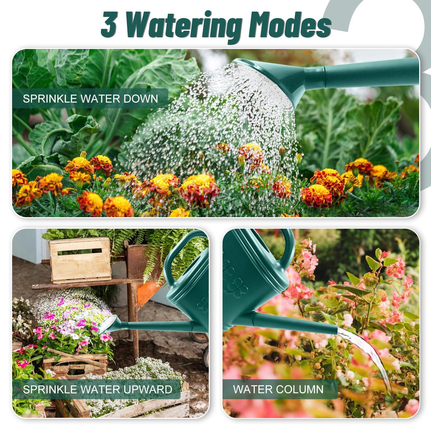 Watering Can for Indoor & Outdoor Plants, Plant Watering Can with Stainless Steel Shower Head, 1 Gallon Plastic Watering Can for Garden, Flowers, Vegetable, Greenhouse (Dark Green, 1 Gallon)
