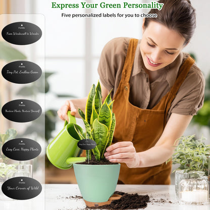 Fielda 6 Inch Self Watering Pots for Indoor Plants (5-Pack) & 2 Pack 10 inch Plant Pots,Plastic Planters with Drainage Holes, Deep Reservoir, Water Level Indicator, Modern Decorative Flower Pot