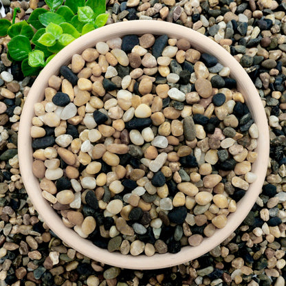 NUPICK 6 lb Aquarium Gravel, 1/4" Ph-Natural Pea Gravel for Fish Tank,Small River Rocks for Plants, Decorative Aquarium Pebbles for Vase Fillers, Landscaping, Succulent, Cactus, Terrarium, Bird Bath