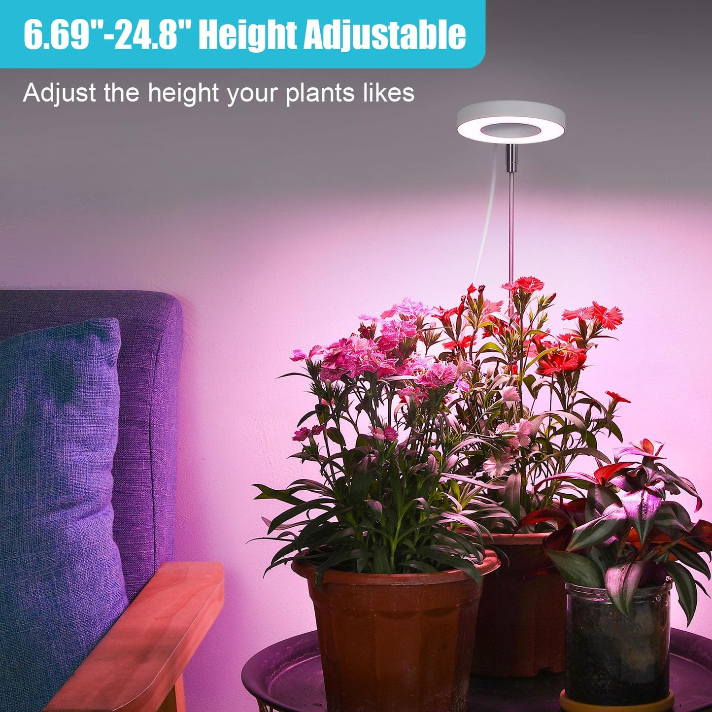 Halo Ring Grow Lights for Small Indoor Plants, Red+Blue+Yellow Light Full Spectrum LED Plant Light, Height Adjustable with 5V 2A Adapter, 3/9/12H Timer & 10 Dimmable Levels, Angel Ring 2 Pack