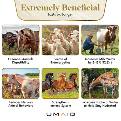 UMAID Himalayan Salt Lick 6 lbs on Rope for Horse, Deer, Goat & Livestock Animals, Salt Lick Deer, Salt Lick for Horses, Salt Block for Horses, Himalayan Salt Block 2 Pack