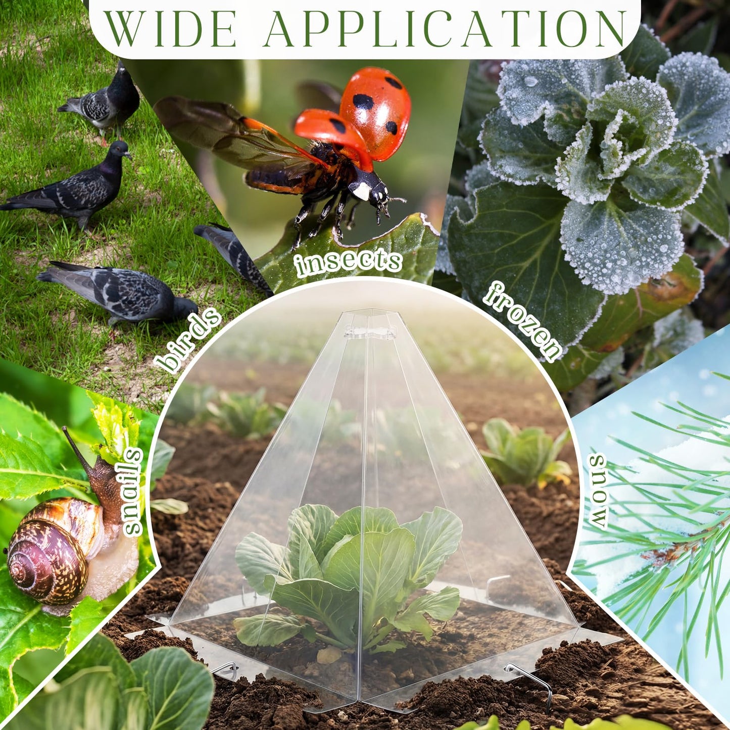 Yalikop 50 Pack Garden Cloches for Plants, Clear Plastic Plant Cloche Covers with 100 Stakes, Reusable Frost Protection Dome for Seedlings, Protect from Snails, Birds, Animals, 7.8" x 11"