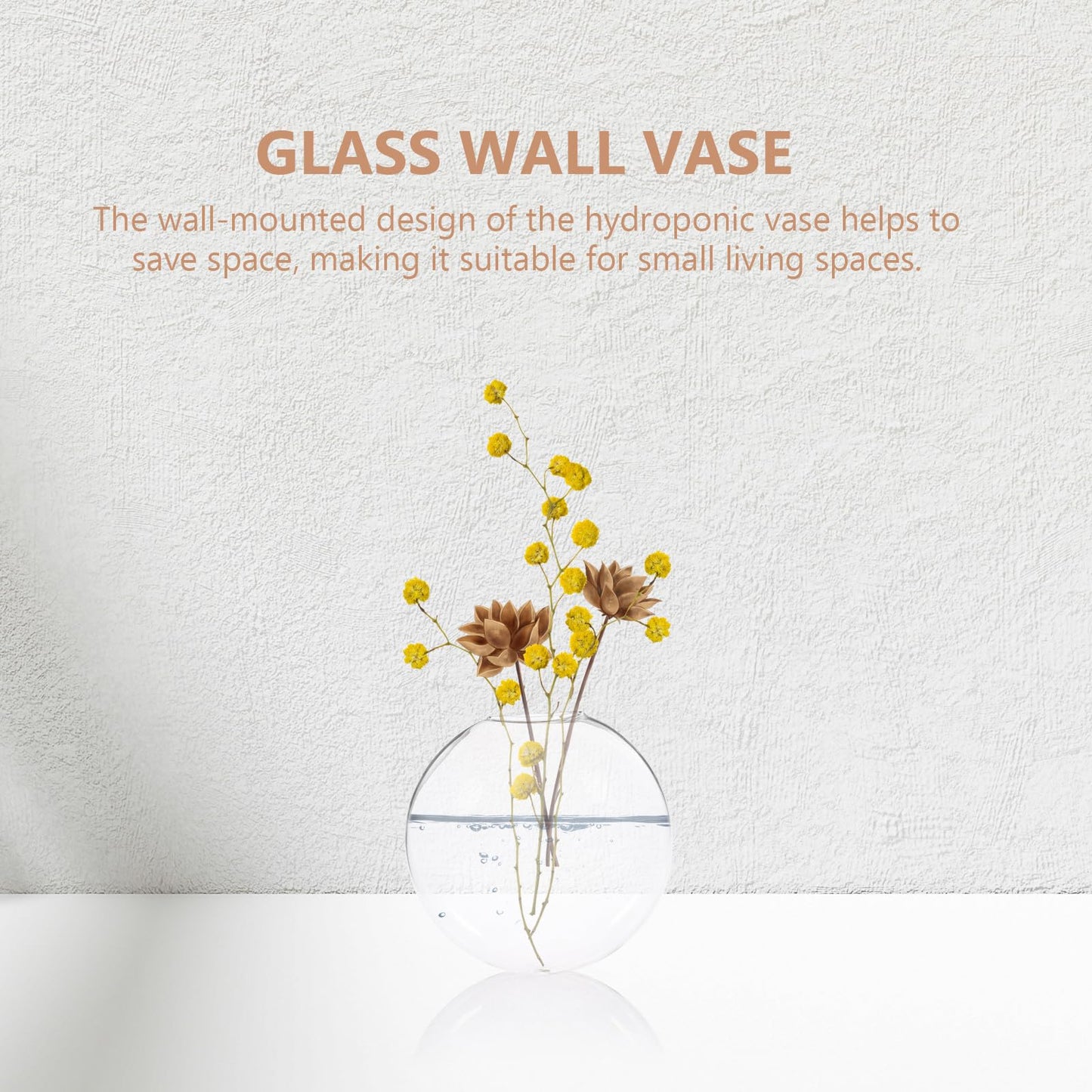 MUSISALY 2pcs Wall Hanging Glass Vase Hydroponic Planter Glass Terrarium for Indoor Plants Home Décor