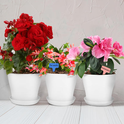 Hahood 36 Pack 5.5 Inch Plastic Plant Pots with Saucers White Flower Plant Container Seed Starting Pots Thickened Seedlings Nursery Pot for Home Garden Indoor Outdoor Flowers