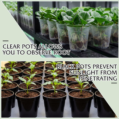 Sliner 200 Pcs 2 Inch Plastic Nursery Pot Mini Seedling Planter Flower Planting Pots Plastic Planters with Drainage Holes for Outdoor Indoor Flower, Starting Seedlings, Black, Clear