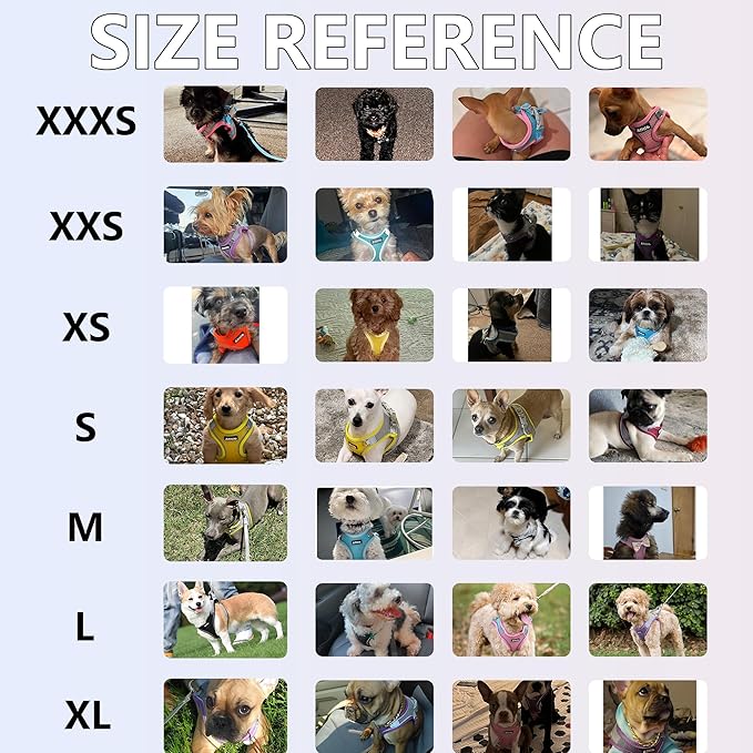 AIITLE Step in Dog Harness and Leash Set - No Pull Escape Proof Vest Harnesses with Soft Mesh and Reflective Bands, Adjustable Pet Outdoor Harnesses for Small and Medium Dogs Beige M