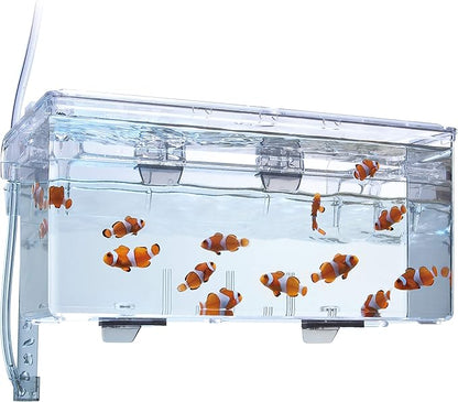 Fluval Multi-Chamber Holding and Breeding Box, Large – Up to 3 Separate Housing Compartments (Pack of 6)